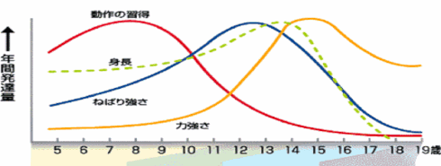 幼少期に動作の習得がピークとなっています。